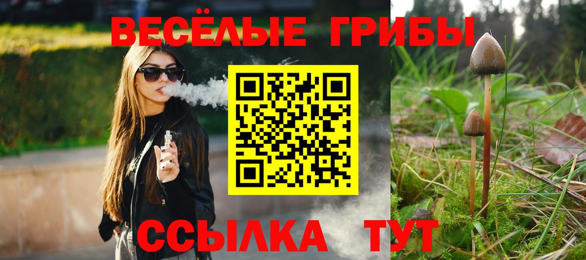 Галлюциногенные грибы мухоморы Лосино-Петровский